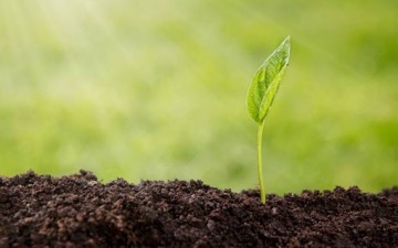 فضيلة التوكل